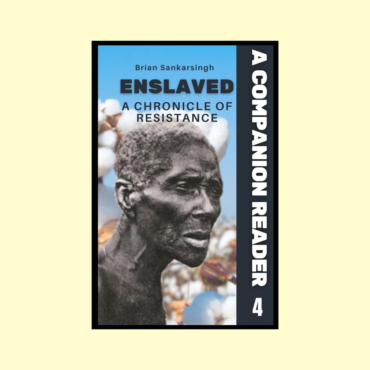 Enslaved A Chronicle of Resistance Book 4: A Companion Reader